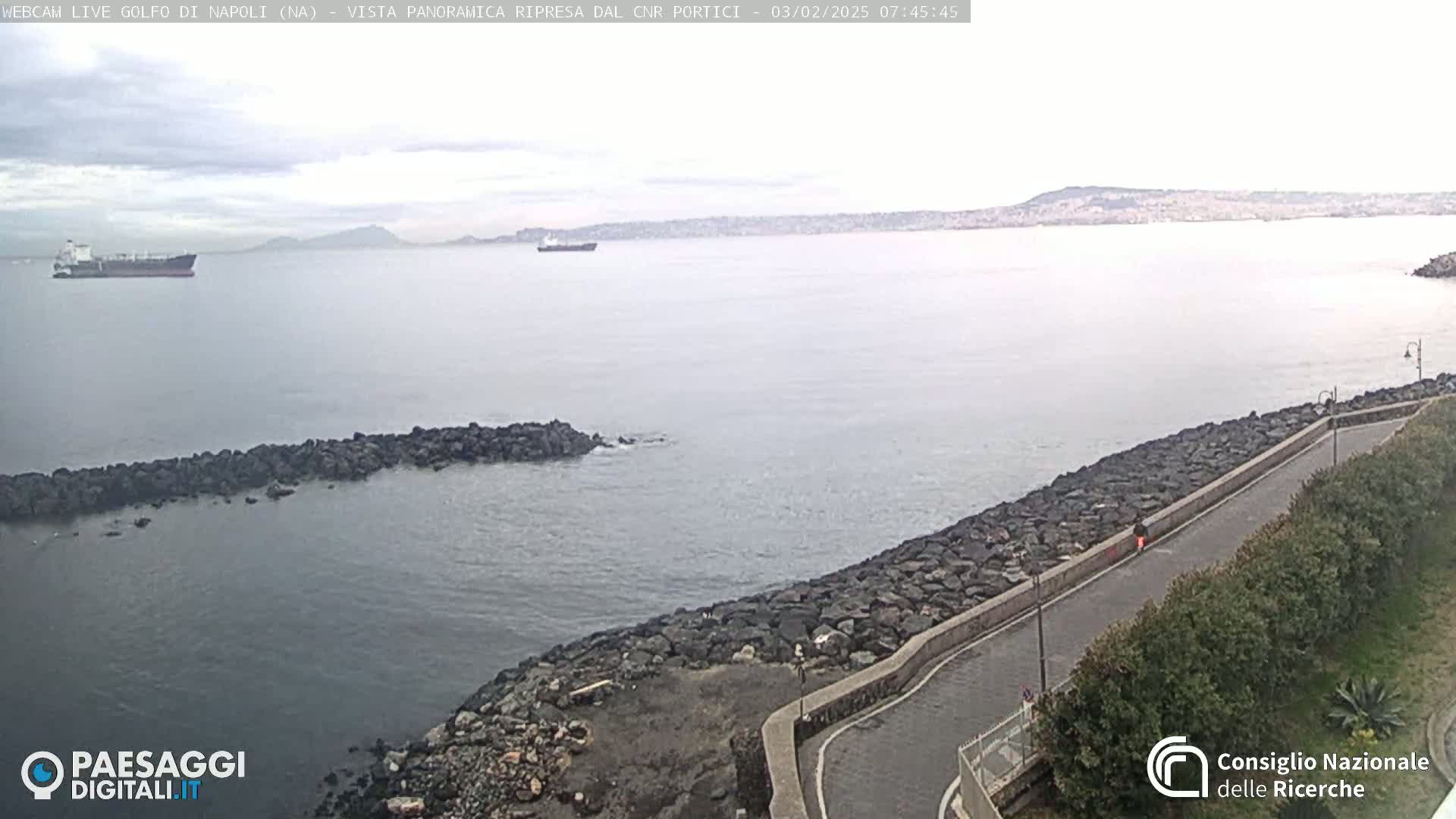 A calm, overcast day shows a coastal scene with a rocky shoreline, a roadway, and several ships visible in the distance on the water.