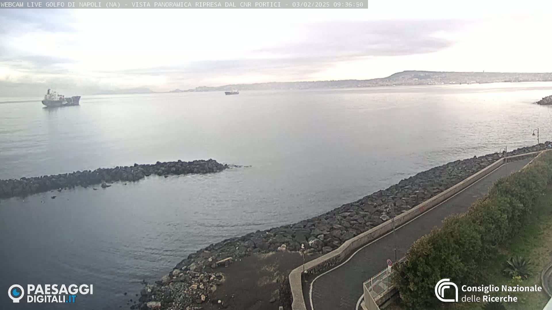 A calm, overcast day shows a coastal view with a rocky shoreline, a paved road, and several ships in the distance.