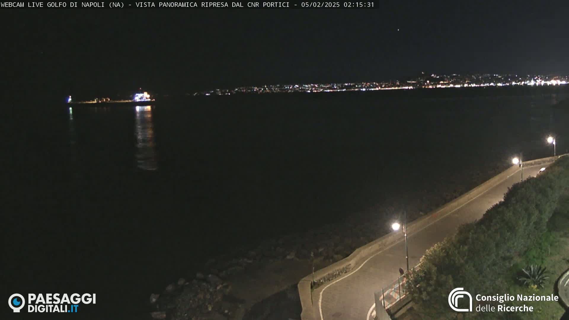 A nighttime view of a dark body of water with a distant city skyline illuminated, a roadway curving along a shoreline with vegetation, and a few lights visible.