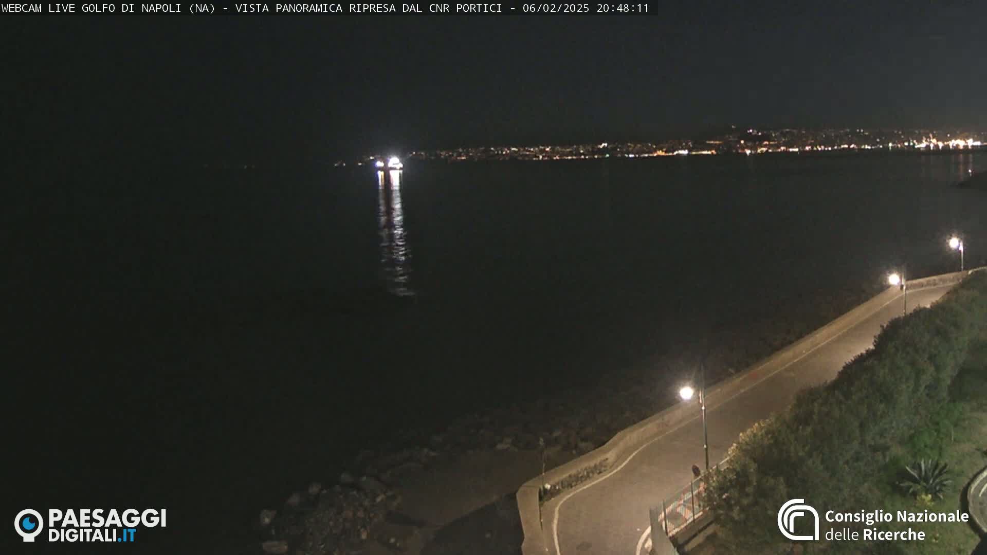 A nighttime coastal scene shows a dark body of water reflecting lights from a distant city, with a paved road and vegetation visible in the foreground.