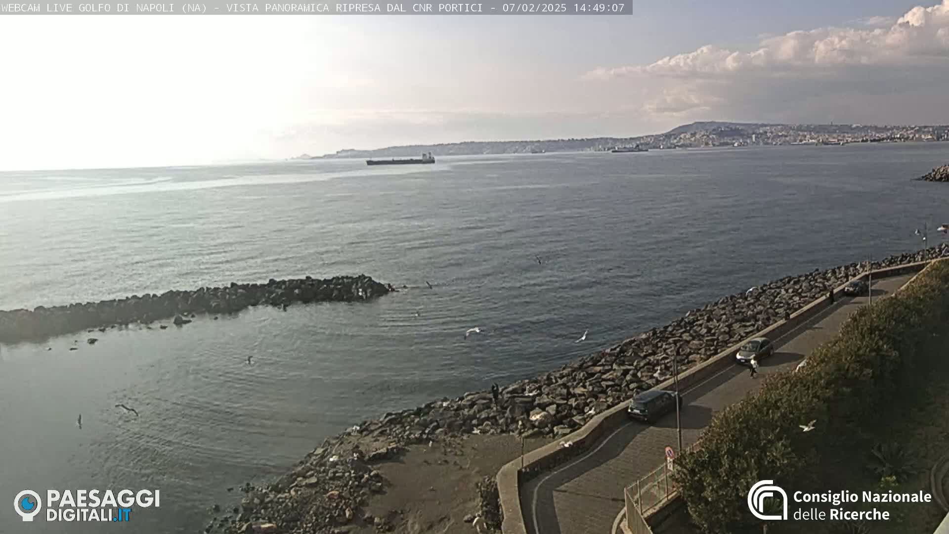 A partly cloudy day shows a calm body of water with a rocky shoreline, a road with cars, and a distant city skyline.