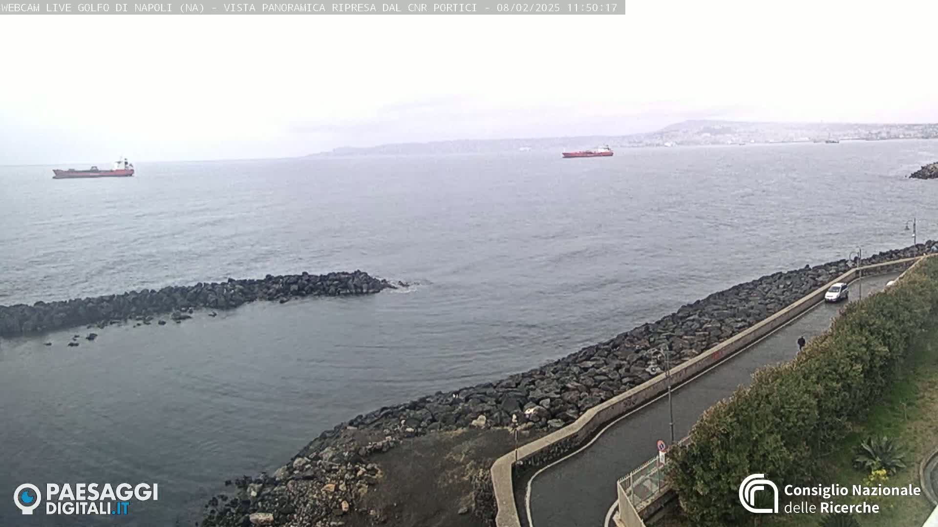 A rocky coastline curves alongside a calm, gray sea under an overcast sky; a few ships are visible in the distance.