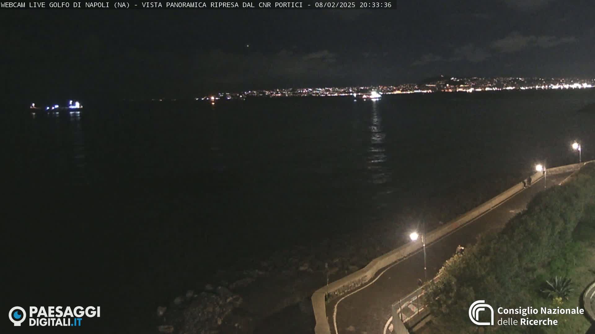 A nighttime, panoramic view of a city's lights across a dark body of water, with a paved walkway and vegetation visible in the foreground.