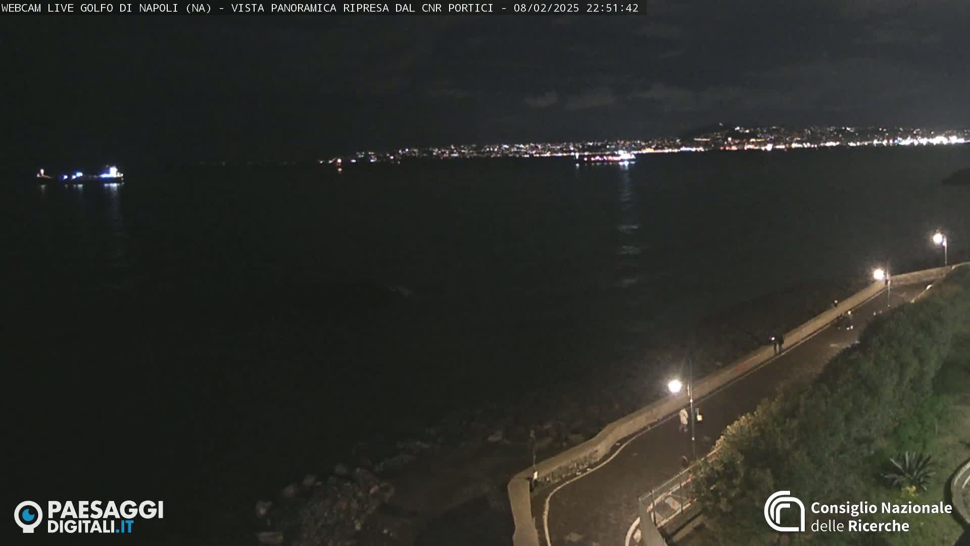 A nighttime, panoramic view of a city's lights across a dark body of water, with a paved walkway and vegetation visible in the foreground.