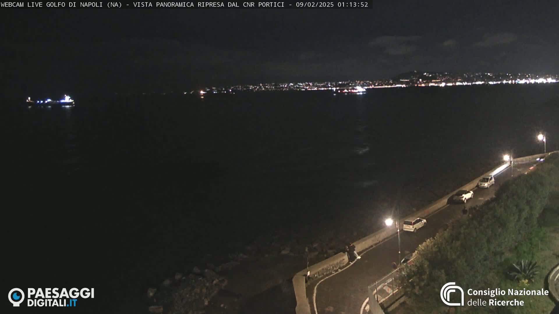 A nighttime, coastal view shows a dark body of water with a distant city skyline illuminated by lights, a road with parked cars along a shoreline, and some vegetation.