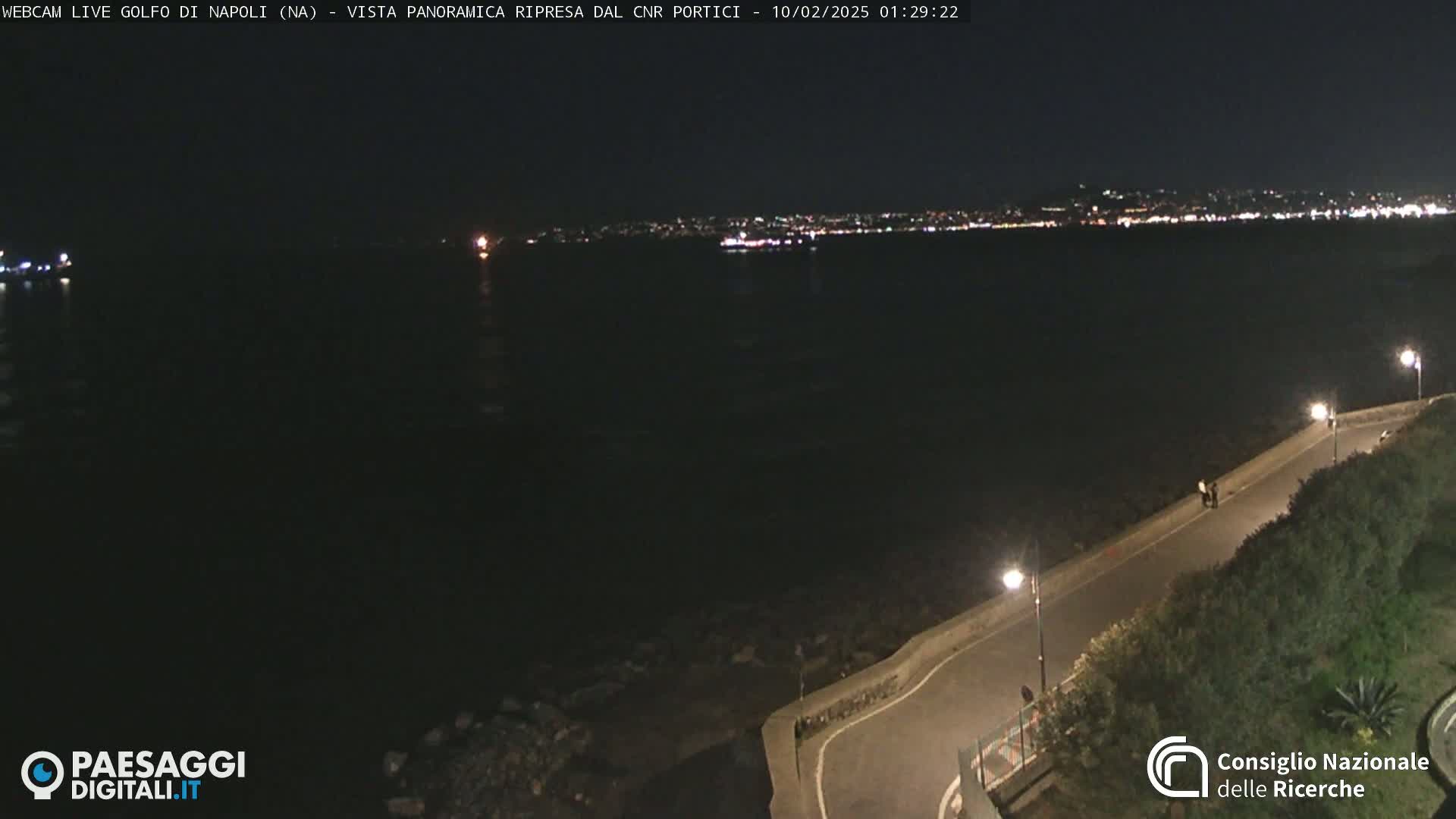 A nighttime, coastal road curves alongside a dark body of water, with a distant city skyline illuminated by lights.