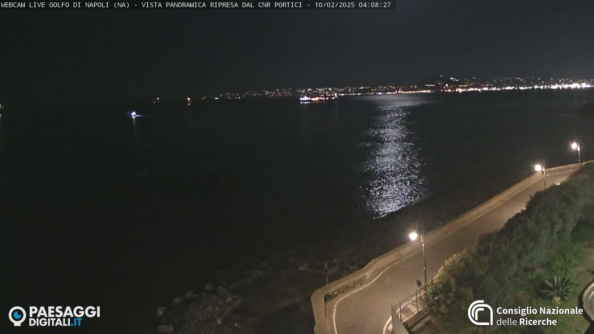 A moonlit nighttime view of a dark body of water with a city's lights in the distance, next to a paved road with streetlights.