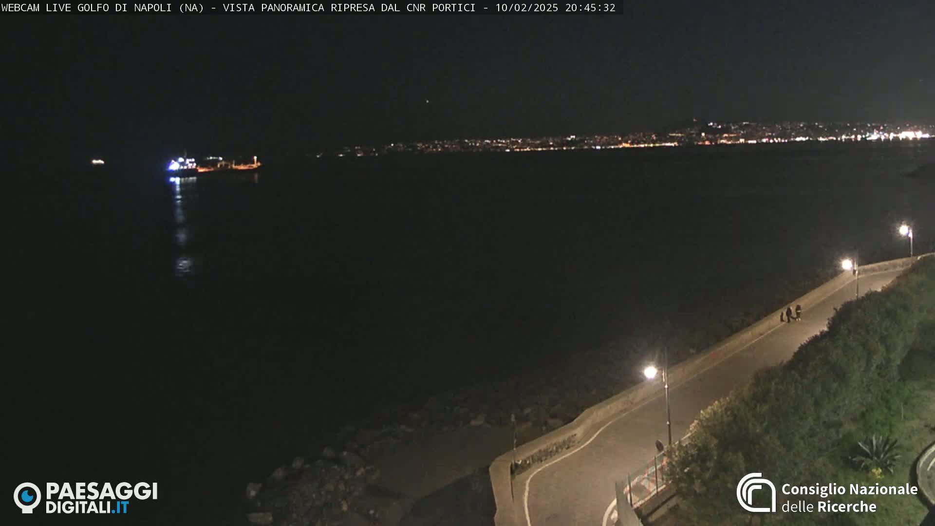 A nighttime, dark view of a body of water with a distant city skyline illuminated, a roadway curving along the shoreline, and a vessel in the water.