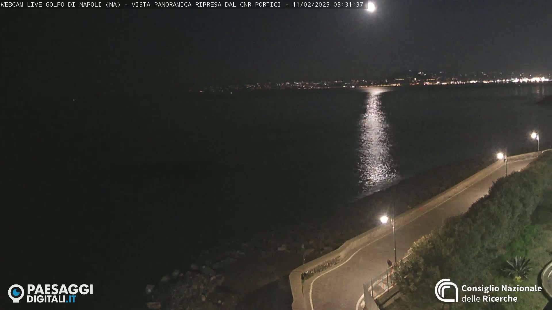 A nighttime, moonlit view shows a dark body of water reflecting the moon's light, a paved road curving along the shoreline, and a distant, faintly lit cityscape.