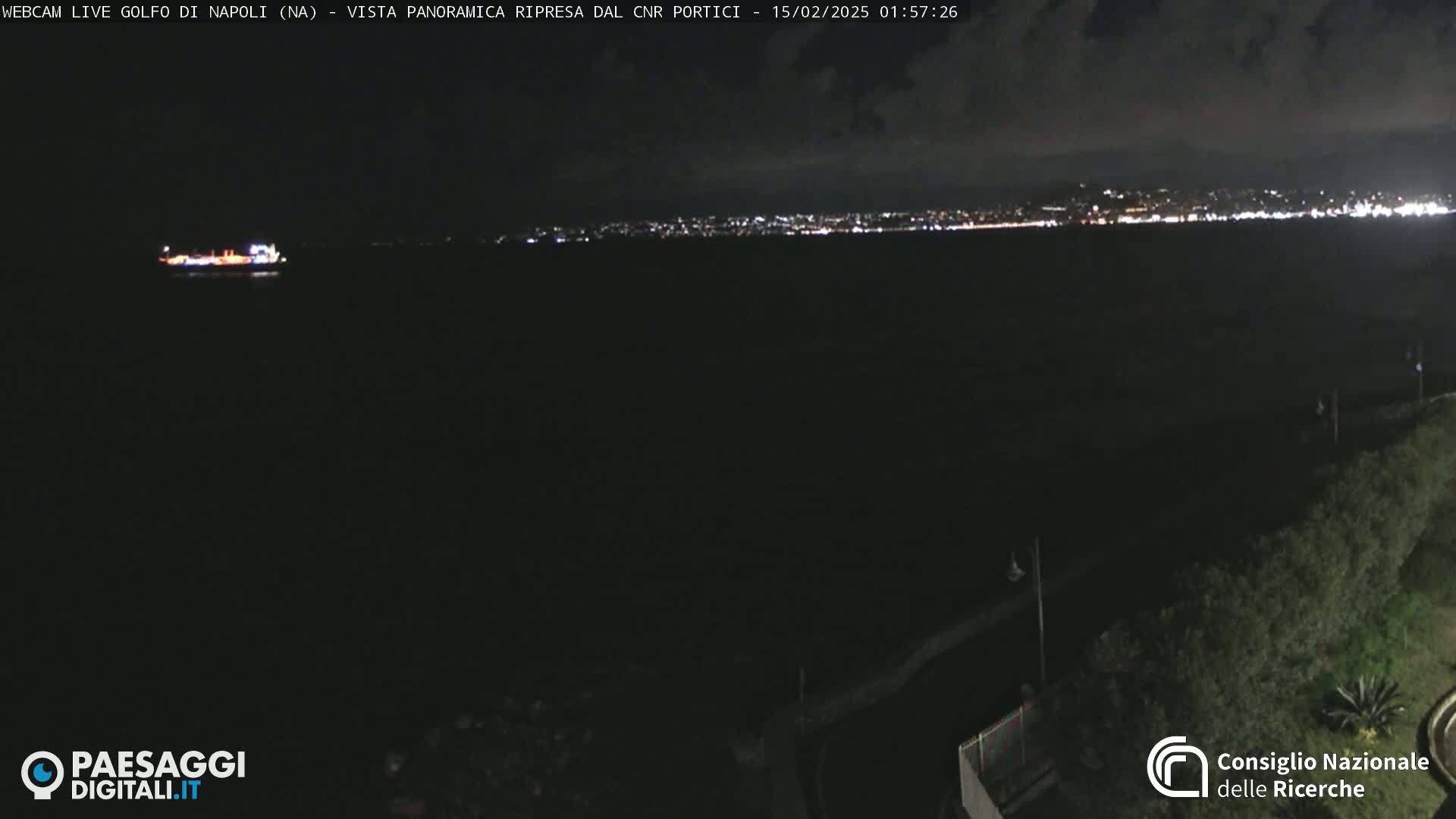 A nighttime, panoramic view of a dark body of water with a distant city skyline illuminated, a single ship visible on the water, and vegetation in the foreground.