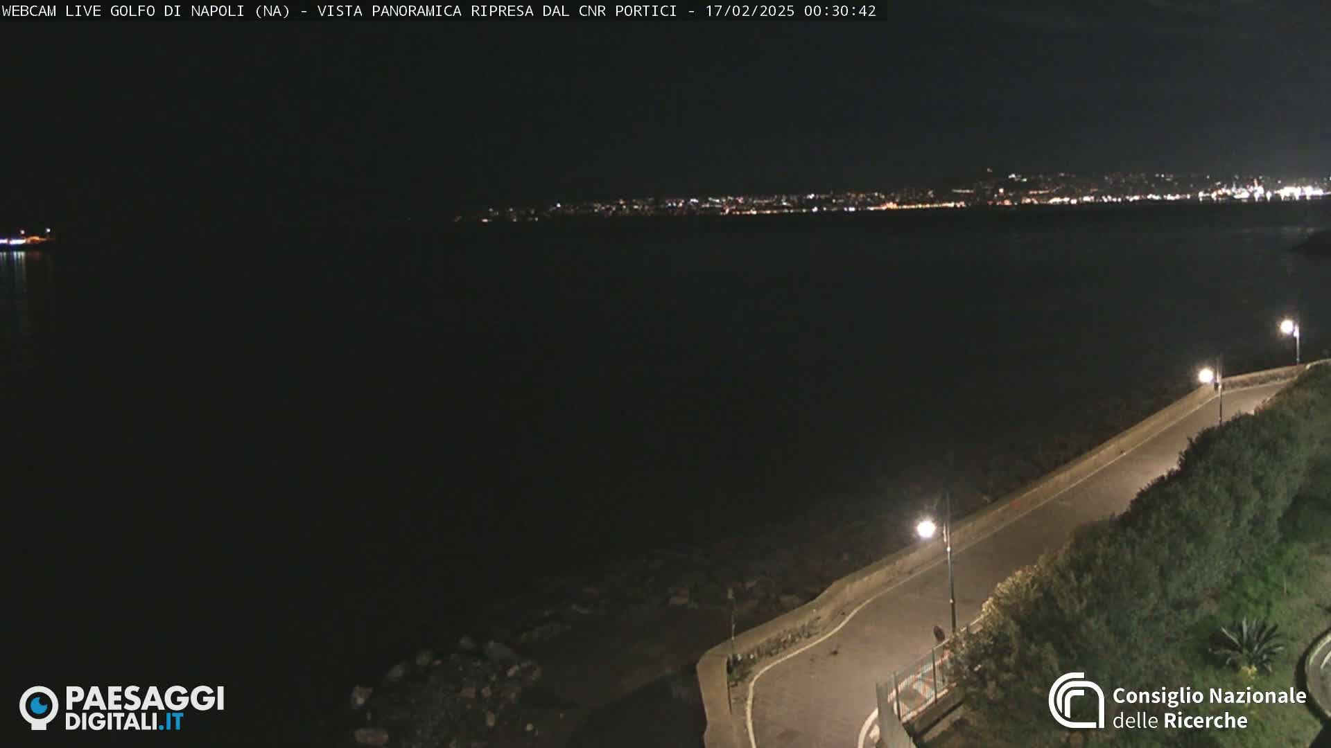 A nighttime view of a dark body of water with a distant city skyline illuminated, alongside a paved road curving along a shoreline with vegetation.