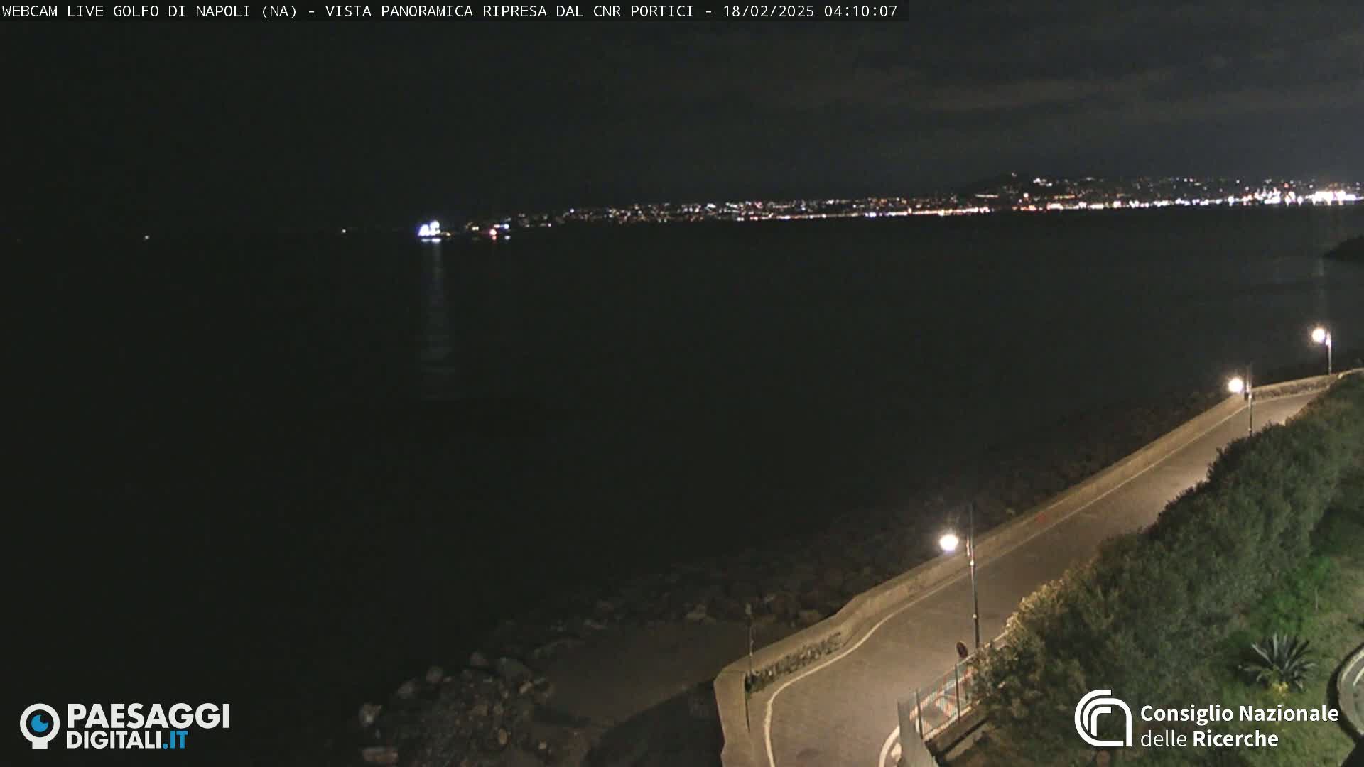 A nighttime, panoramic view shows a dark body of water with a distant, illuminated city skyline and a paved road curving along a shoreline with low vegetation.