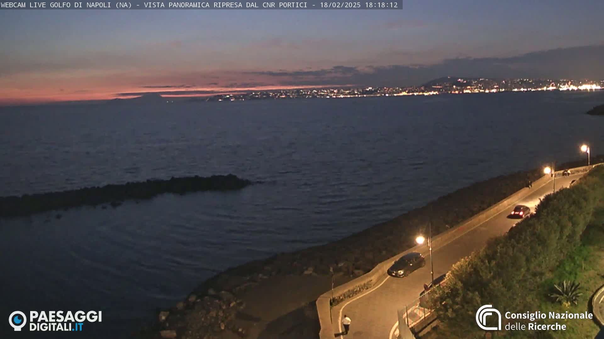 A twilight view of a calm sea with a city skyline illuminated in the distance, a coastal road with cars, and shrubbery.