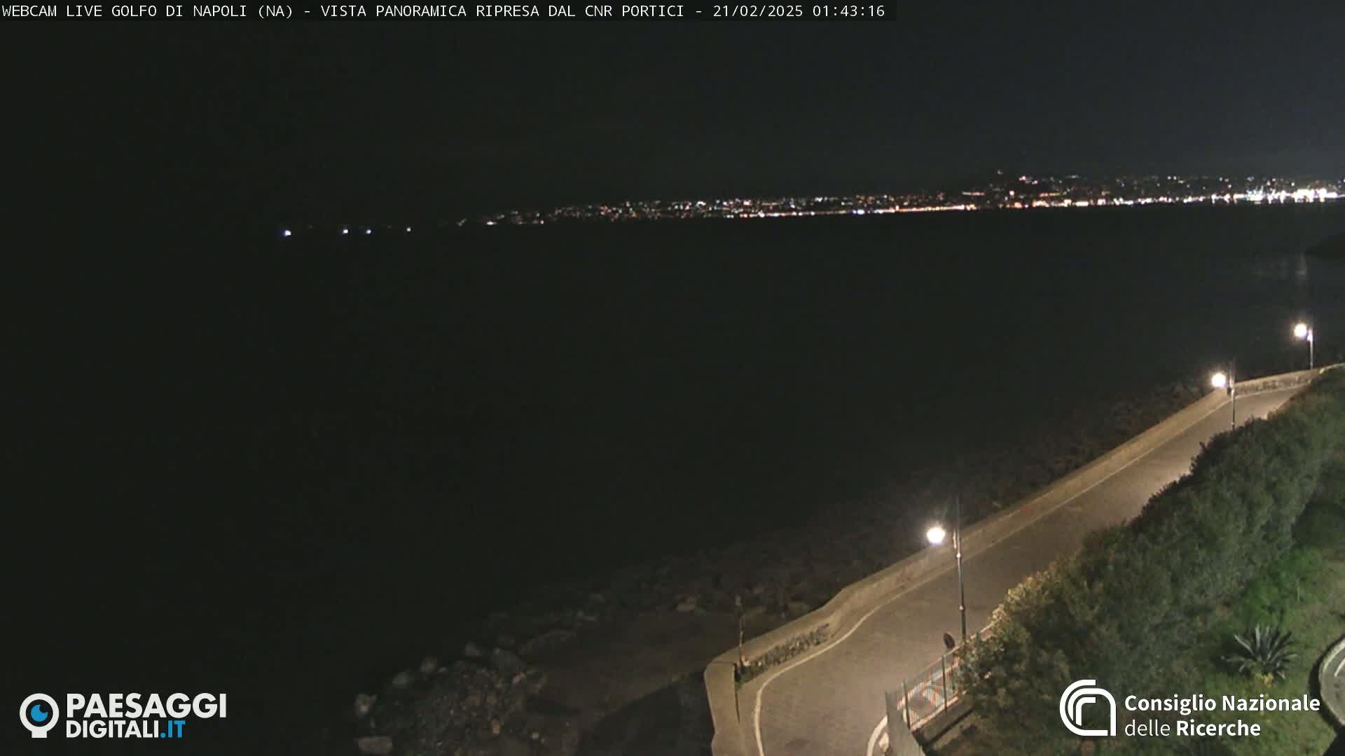 A nighttime, high-angle view shows a dark body of water with a distant, illuminated city skyline and a paved road curving along the water's edge, lined with vegetation and streetlights.