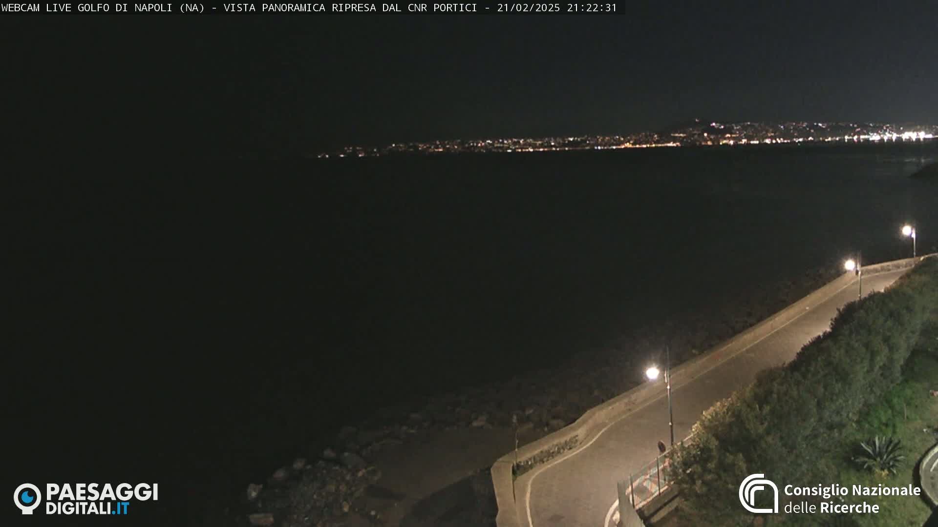 A nighttime, seaside view shows a city skyline in the distance, illuminated by lights, with a dark, calm body of water in the foreground and a paved road curving along a shoreline with low vegetation.