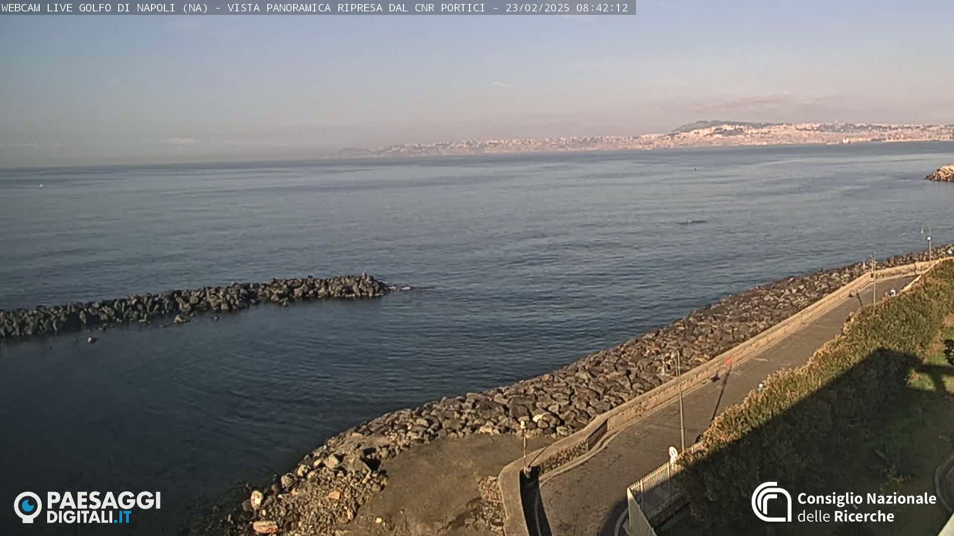 A rocky shoreline with a road curves along a calm sea, under a clear sky with a distant city visible on the horizon.