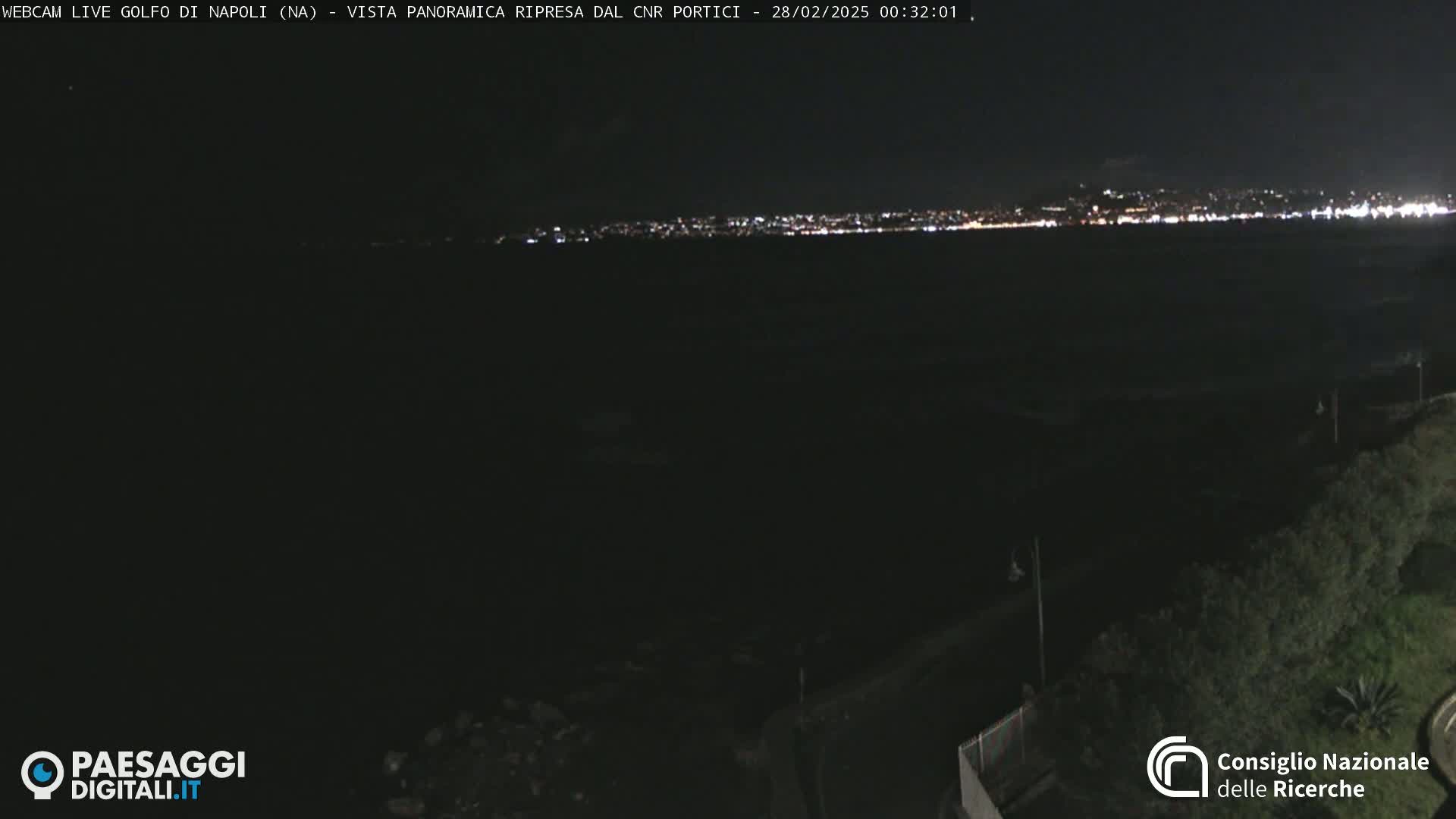 A nighttime, long-range view of a city's lights across a dark body of water, with vegetation visible in the foreground.
