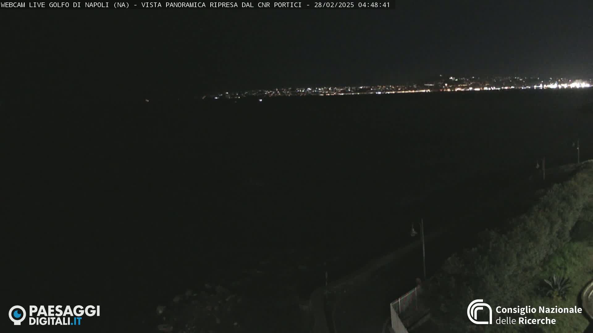 A dark nighttime view of a city skyline across a body of water, from a vantage point near some vegetation.