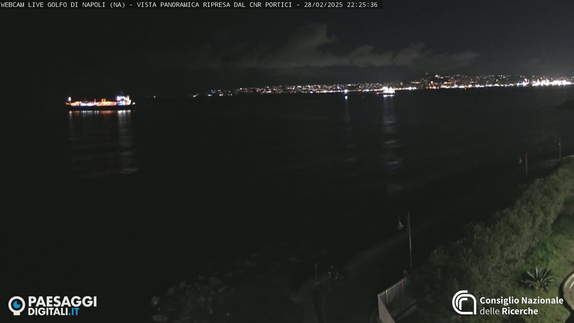 A dark nighttime view of a body of water with a distant city skyline illuminated, a single ship visible on the water, and some vegetation in the lower right corner.
