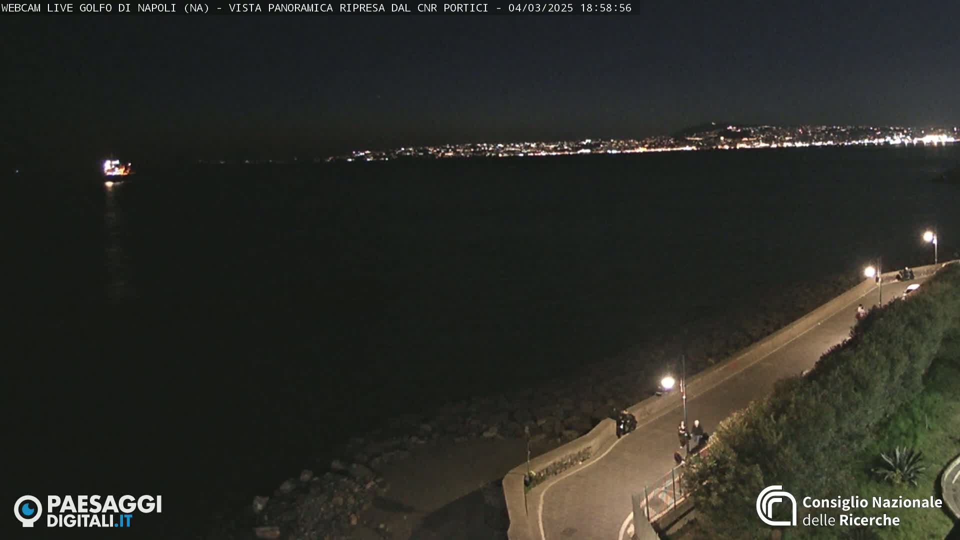 A nighttime view of a coastline shows a dark body of water with a distant city illuminated, a curving road with a few vehicles and people, and dark vegetation along the roadside under a clear, dark sky.
