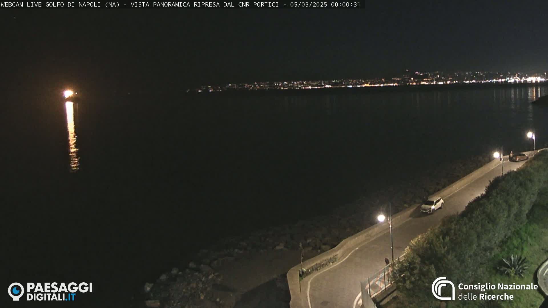 A nighttime view of a calm body of water reflecting city lights in the distance, with a paved road and vegetation visible along the shoreline.
