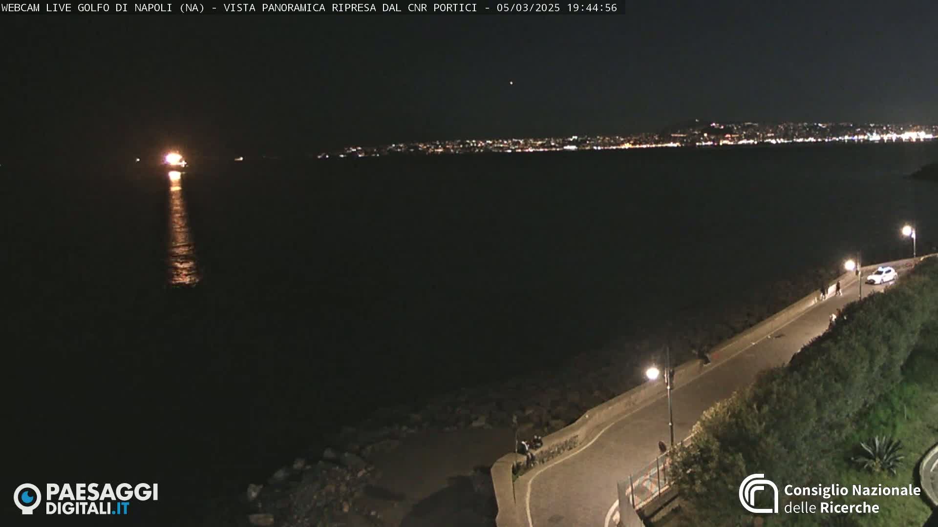 A nighttime view of a dark body of water reflecting lights from a distant city skyline, with a paved road and some vegetation visible along the shoreline.