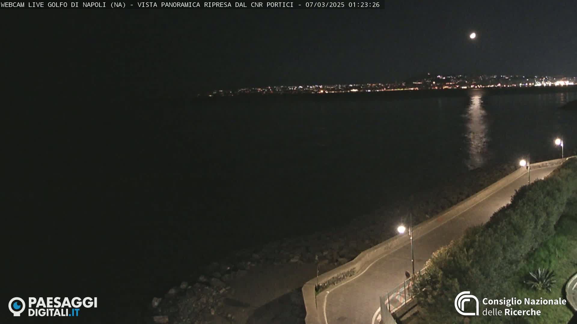 A nighttime coastal scene shows a moonlit body of water reflecting city lights in the distance, with a paved road curving alongside the shore, illuminated by streetlights.