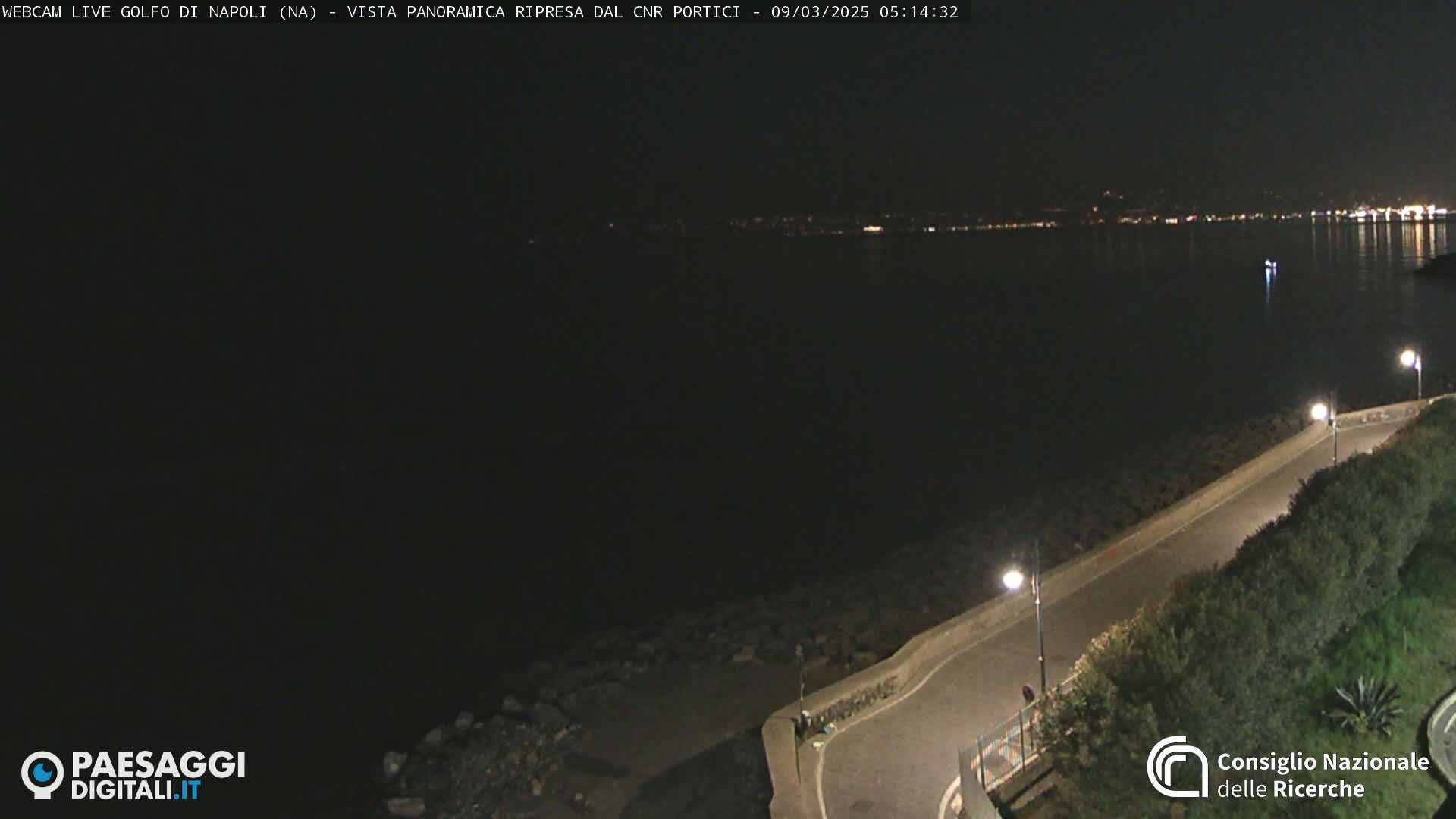 A nighttime view of a dark, calm body of water with a shoreline road lined with shrubbery and streetlights.