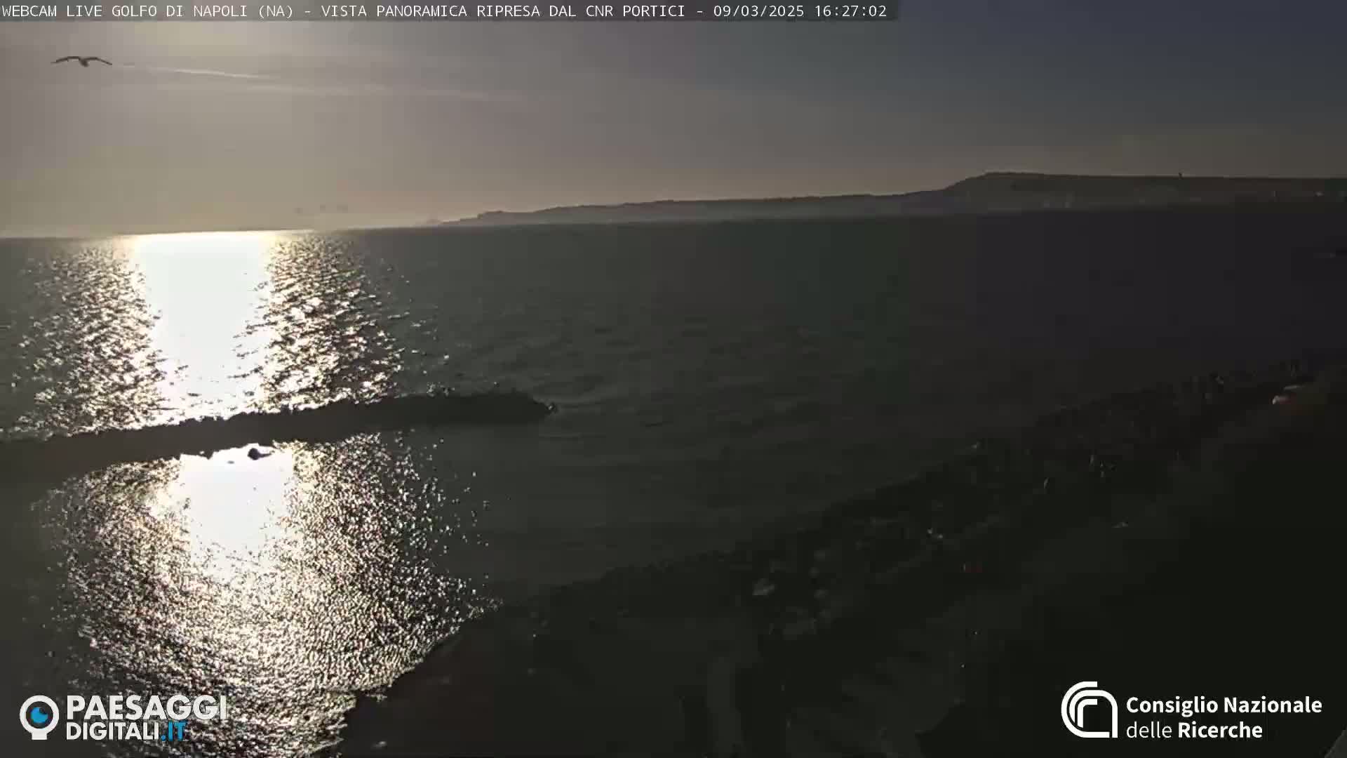 A calm sea reflects sunlight, with a distant landmass visible under a clear, late afternoon sky.