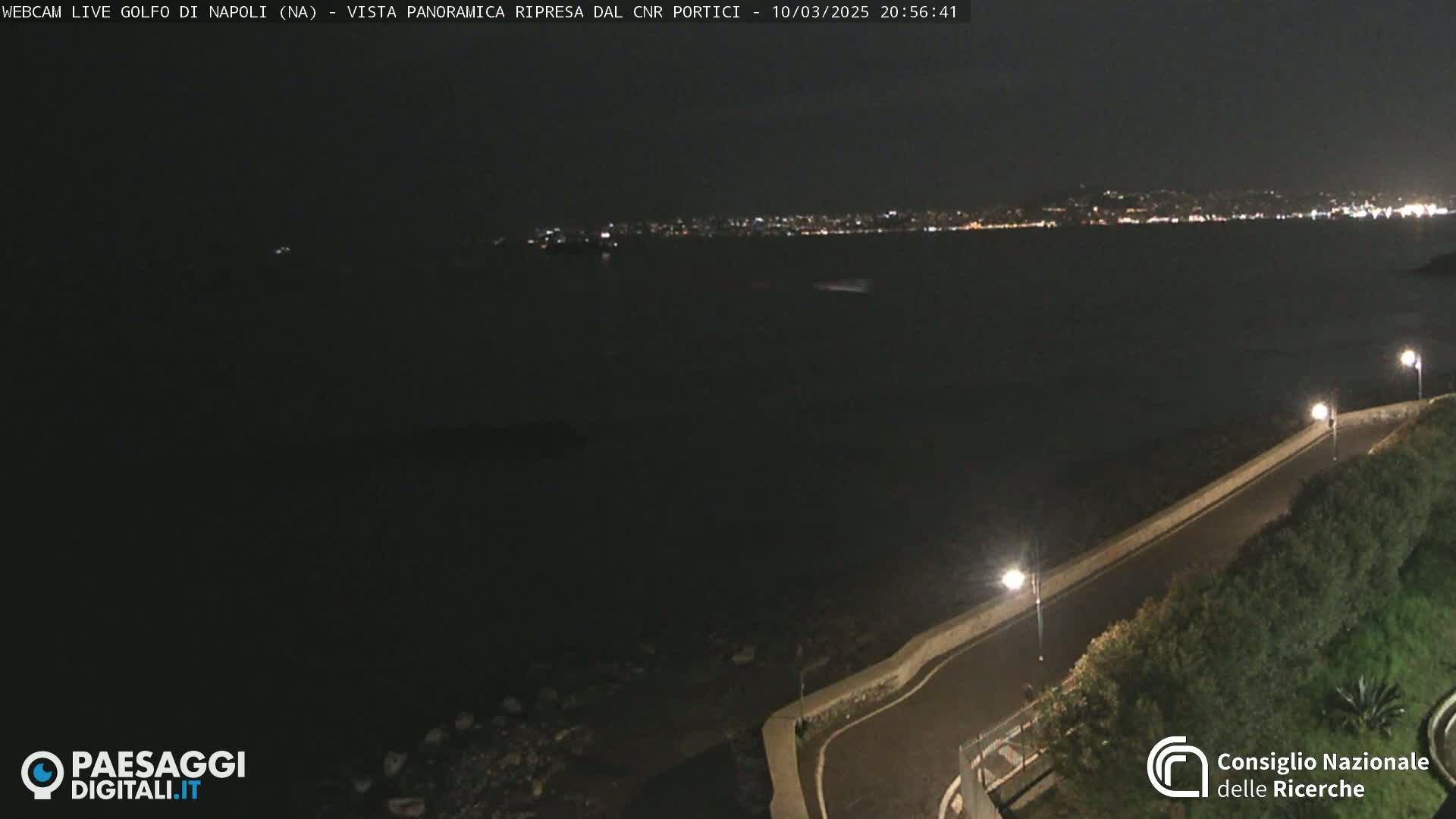 A nighttime, panoramic view of a dark body of water with a city's lights in the distance, a paved road curving along the shoreline, and vegetation beside the road.