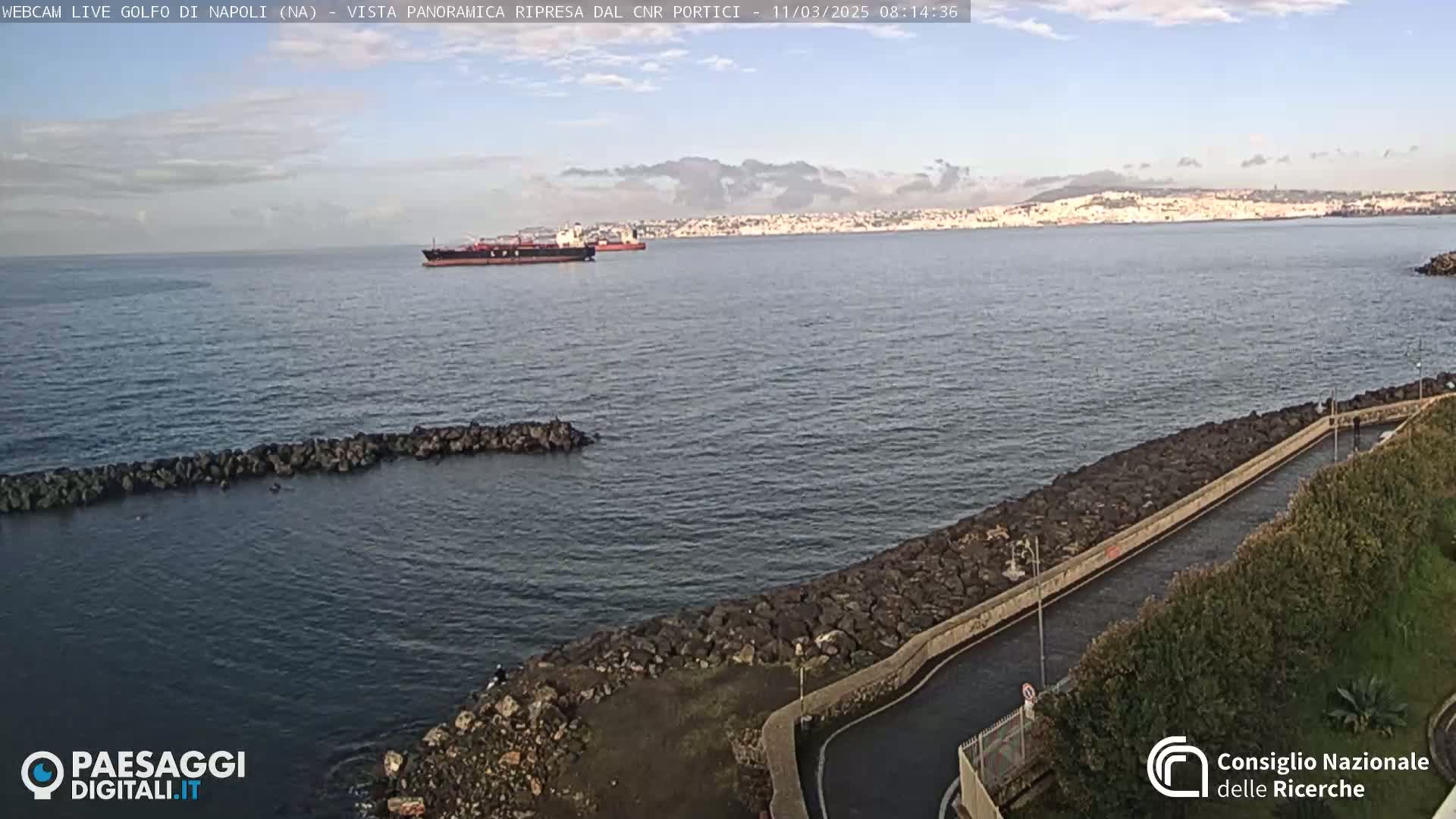 A partly cloudy day shows a large cargo ship in the water, a rocky shoreline, and a city in the distance.