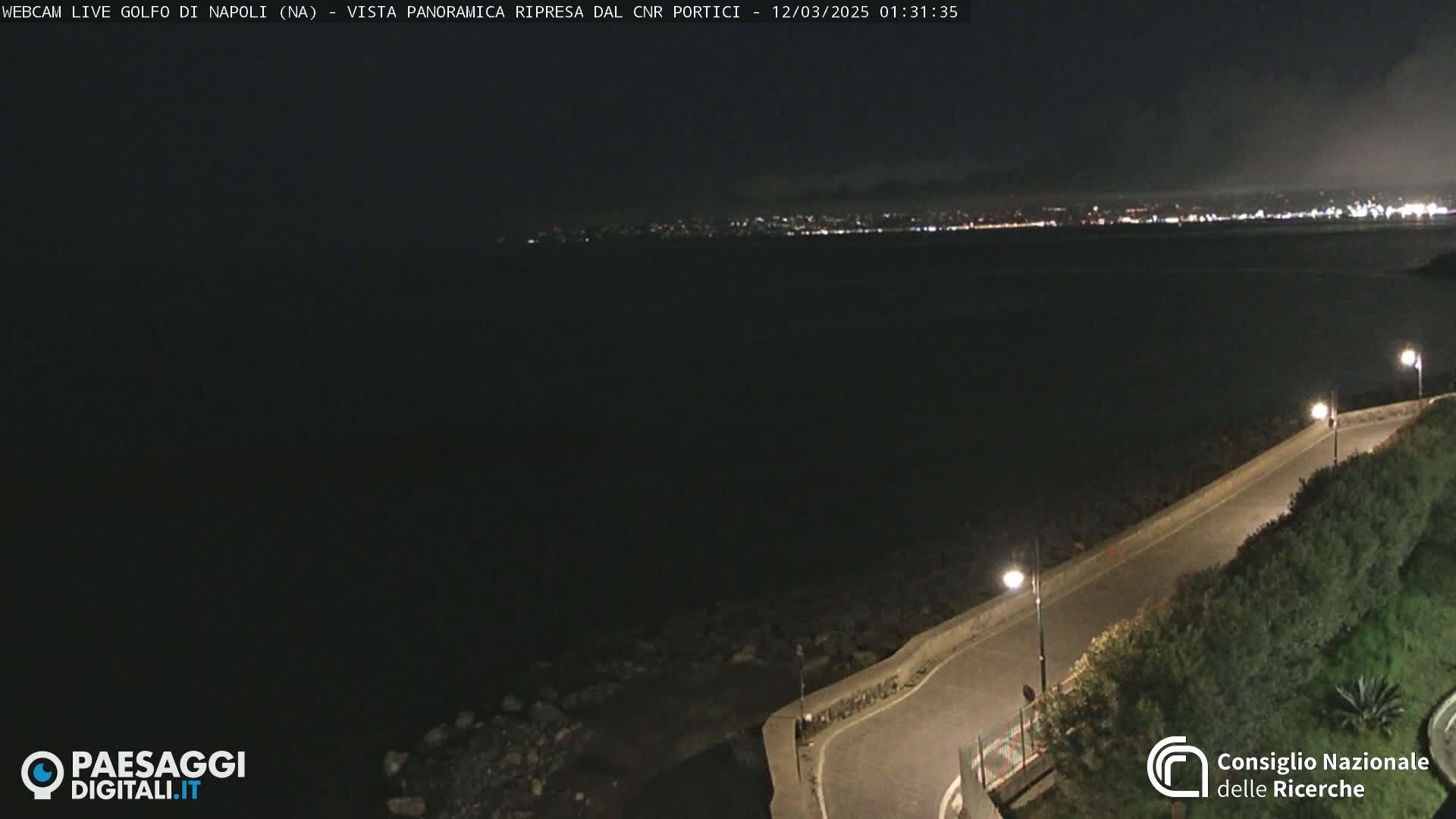A nighttime, panoramic view of a dark body of water with a city skyline faintly visible in the distance, and a paved road curving along a shoreline with low-lying vegetation.
