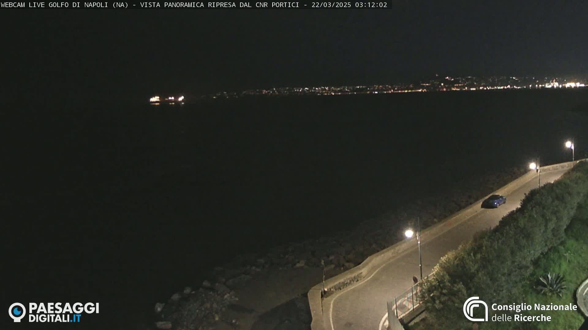 A nighttime, panoramic view shows a dark body of water with a distant city skyline illuminated, a single car on a coastal road lined with shrubs, and several streetlights.