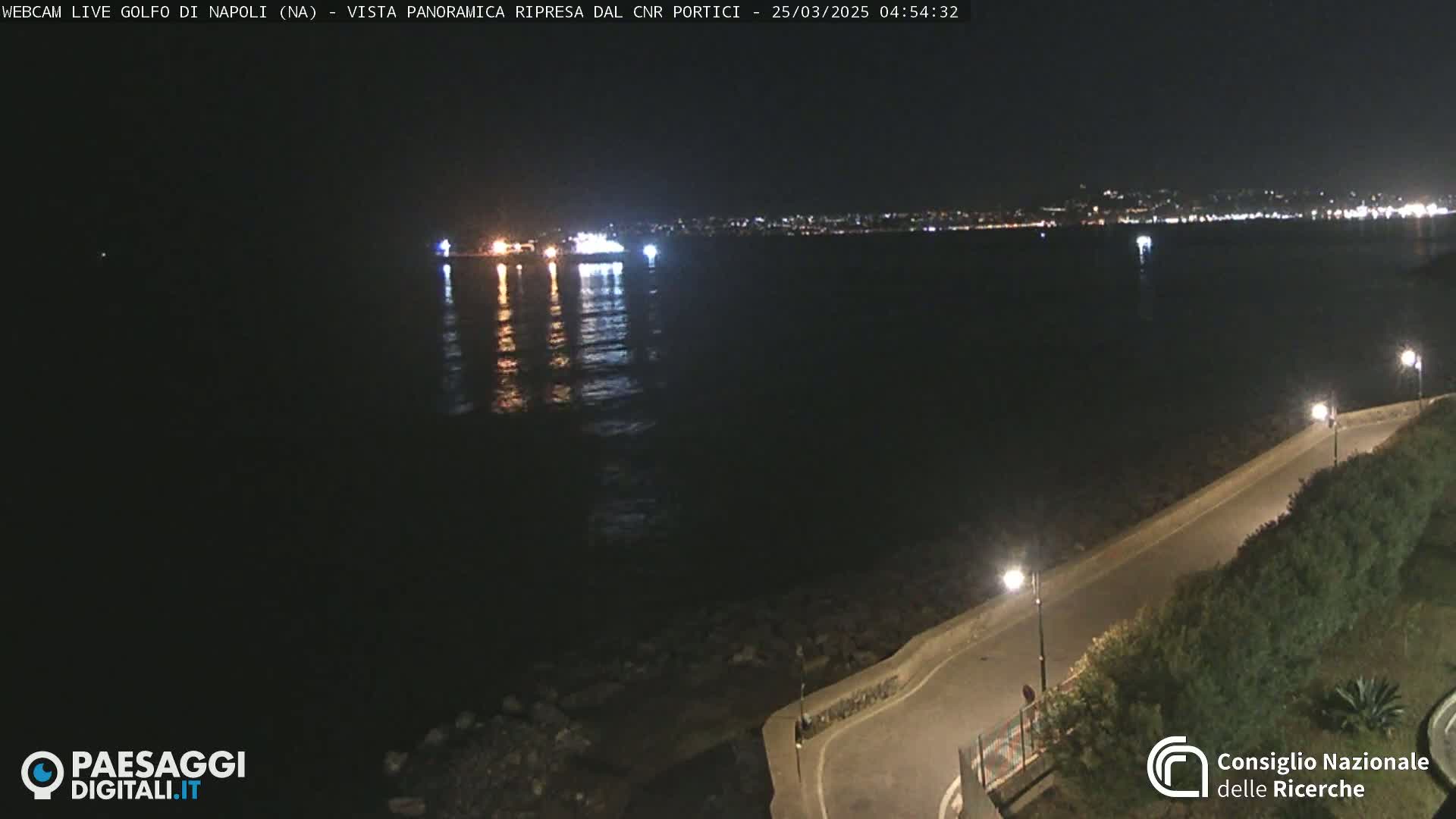 A nighttime view of a calm body of water with a city skyline faintly visible in the distance, a road curving along the shoreline, and sparsely lit landscaping.