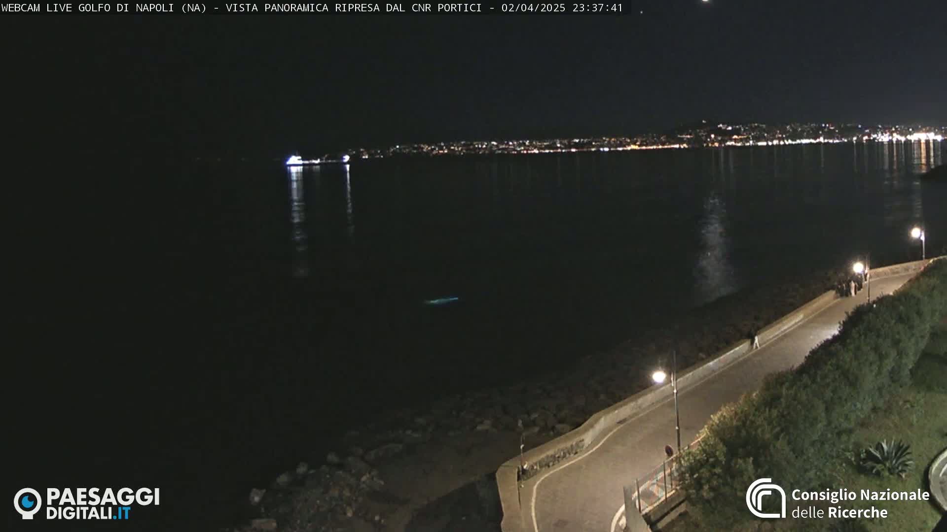 A nighttime, panoramic view of a calm body of water reflecting city lights on the horizon, with a paved walkway and vegetation visible in the foreground.