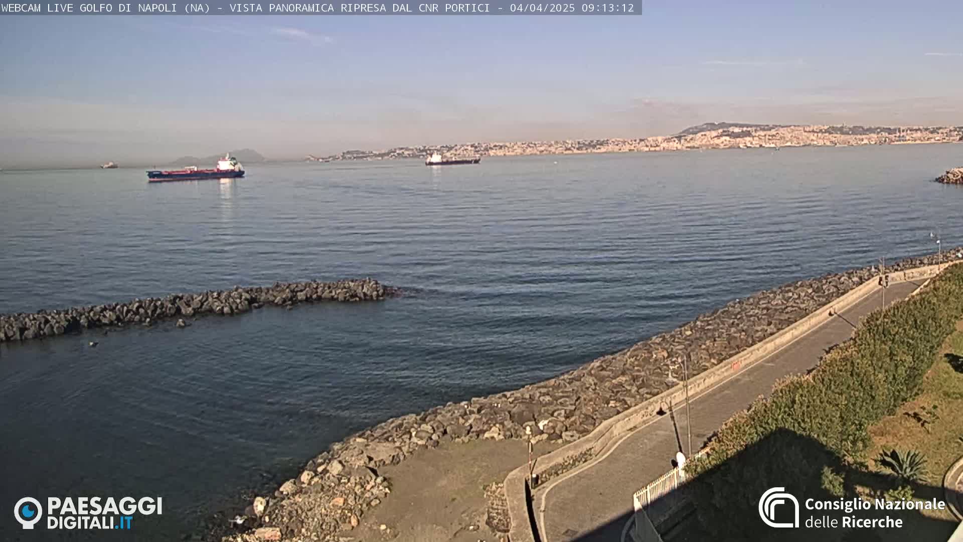 A panoramic view of a calm bay with two cargo ships and a city in the distance on a sunny day.