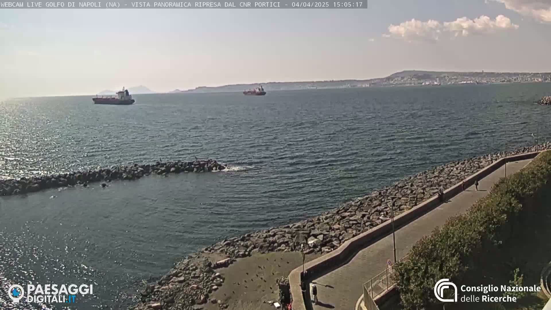 A partly cloudy day shows a wide expanse of calm sea with two large ships visible in the distance, near a rocky shoreline with a paved walkway.