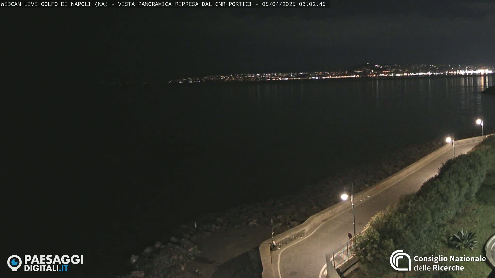 A nighttime coastal view shows a dark body of water reflecting city lights across the horizon, a curving road lined with shrubs and streetlights along a rocky shoreline.
