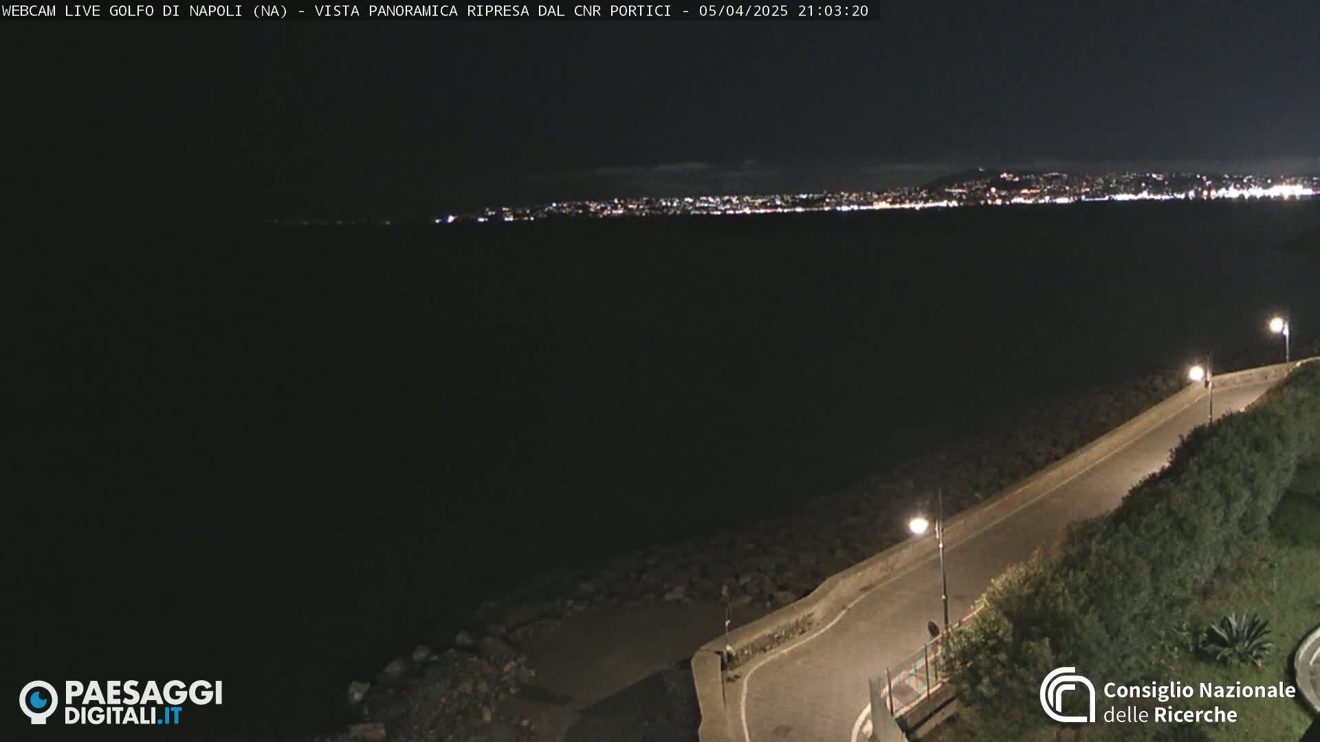 A nighttime, panoramic view of a city skyline across a dark body of water, with a coastal road and vegetation in the foreground.