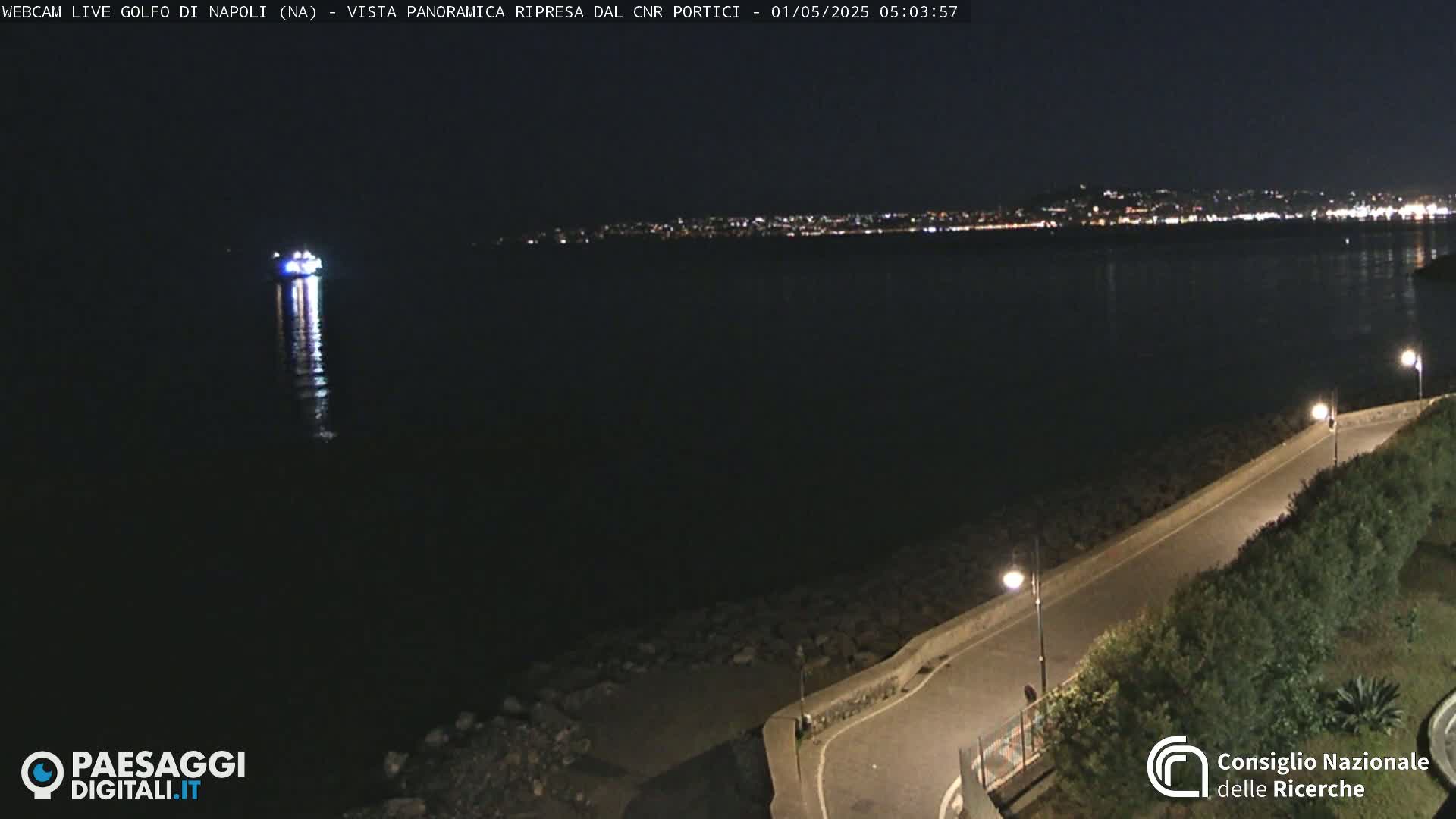 A nighttime view of a dark body of water with a single lit vessel and a city skyline in the distance, seen from a paved waterfront path with low shrubbery.