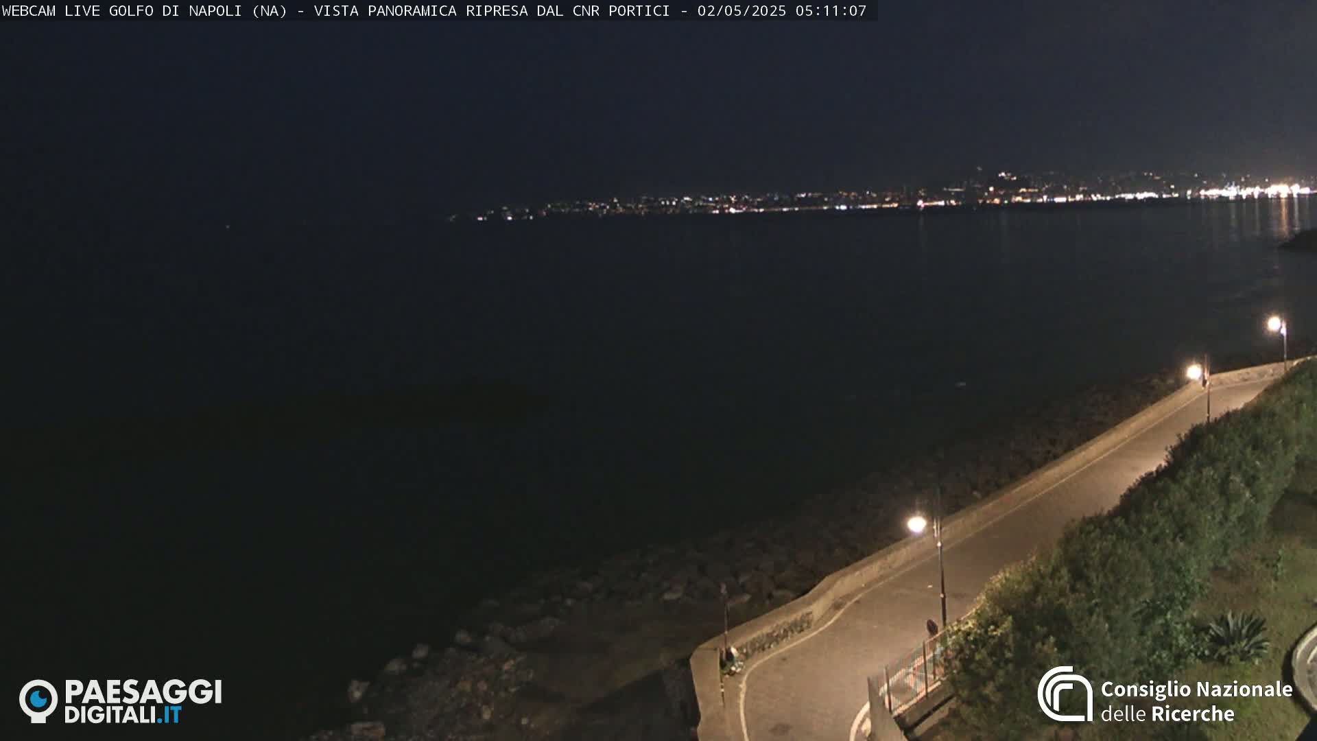 A nighttime, coastal scene shows a dark body of water with a city's lights visible in the distance, and a paved path curving along a rocky shoreline lined with vegetation.