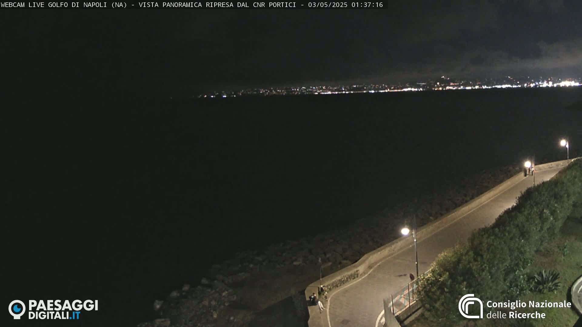 A nighttime, low-angle view shows a dark body of water with a city skyline faintly visible in the distance, and a paved path curving along a rocky shoreline illuminated by streetlights.
