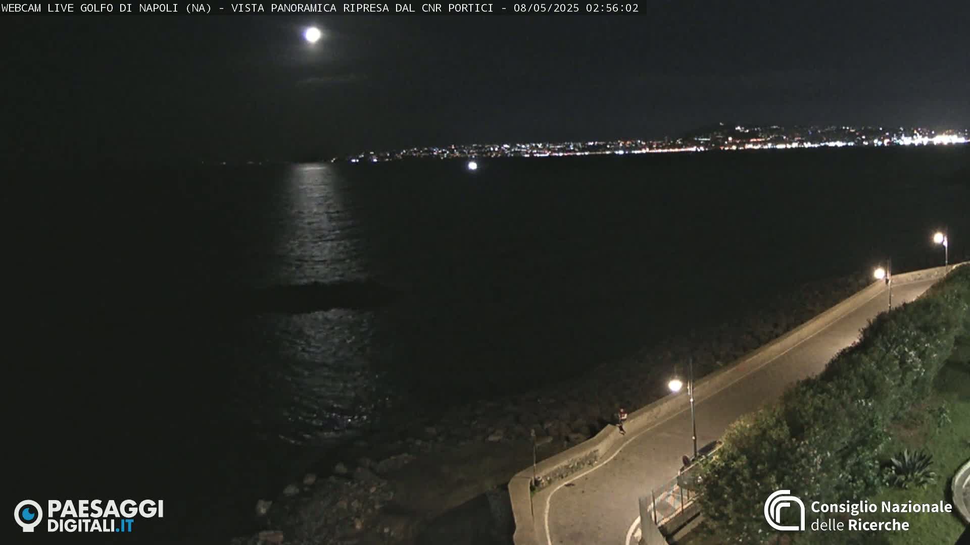 A bright moon illuminates a dark body of water reflecting city lights on the horizon from a nighttime coastal overlook with a paved road curving below.