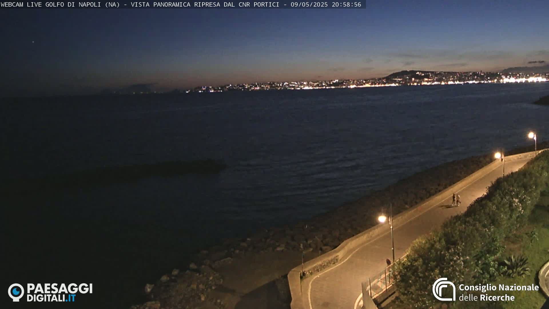 A nighttime coastal scene shows a paved path curving along the edge of a dark body of water, with a city's lights visible in the distance under a clear, dark sky.