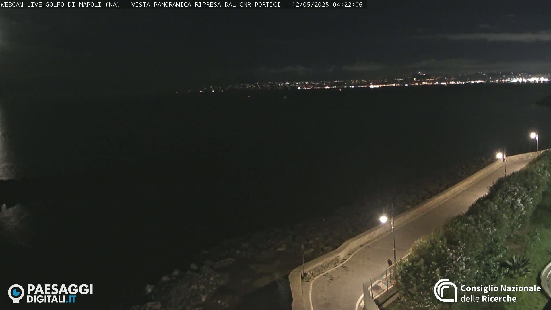 A nighttime, panoramic view of a city's lights across a dark body of water, with a paved road and vegetation alongside it.