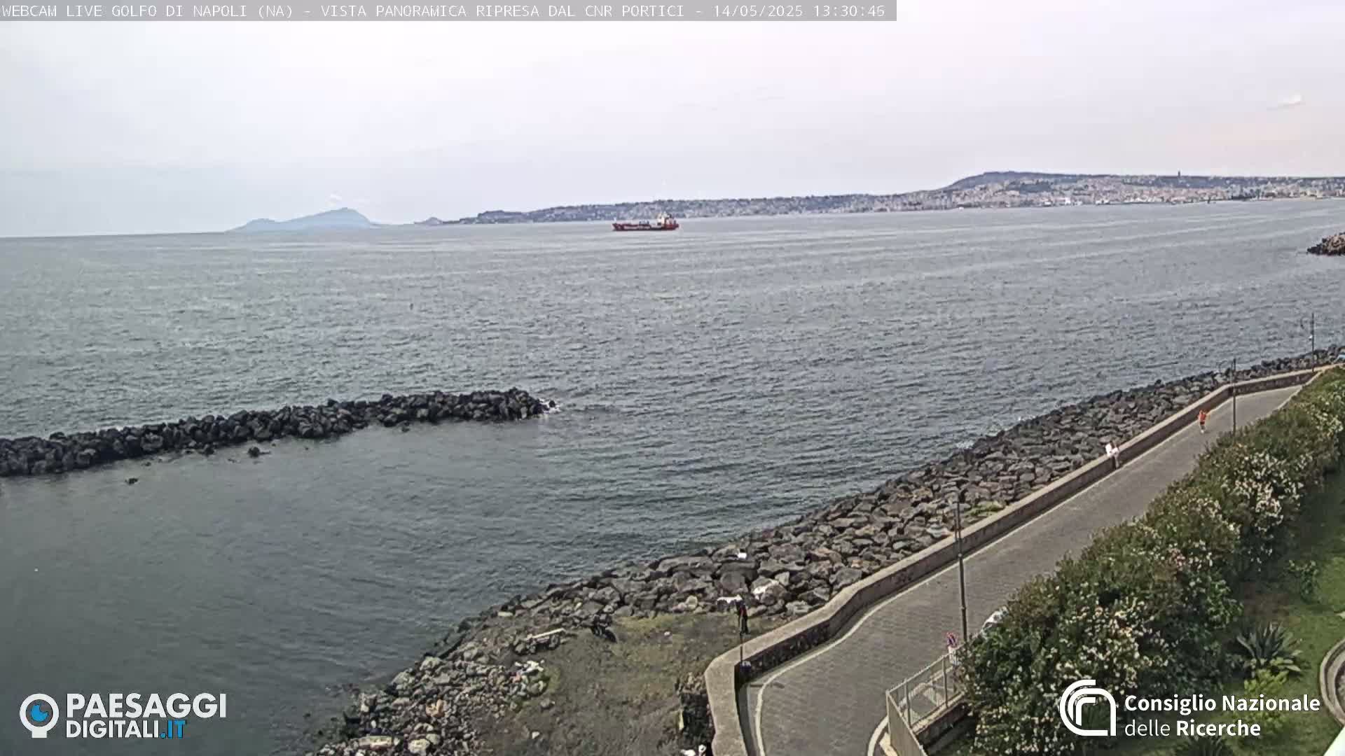A calm body of water shows a distant coastline and a large cargo ship under an overcast sky, with a rocky shoreline and paved pathway visible in the foreground.
