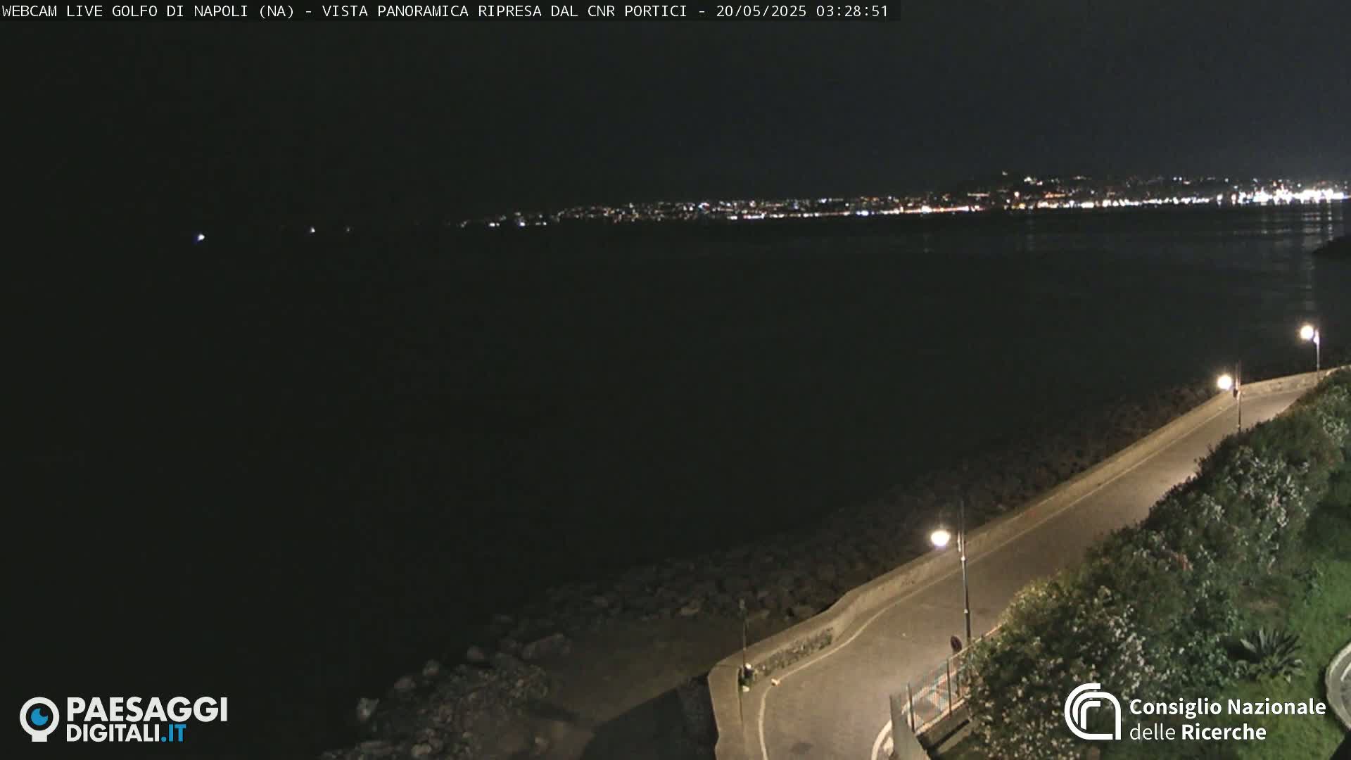 A nighttime, panoramic view of a coastline shows a dark body of water with a city's lights in the distance, a paved road curving along the shore with vegetation and streetlights.