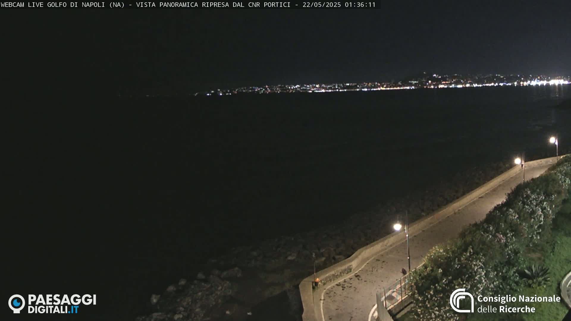 A nighttime, panoramic view shows a dark body of water with a distant, illuminated city skyline, and a paved walkway along a rocky shoreline lined with vegetation and streetlights.