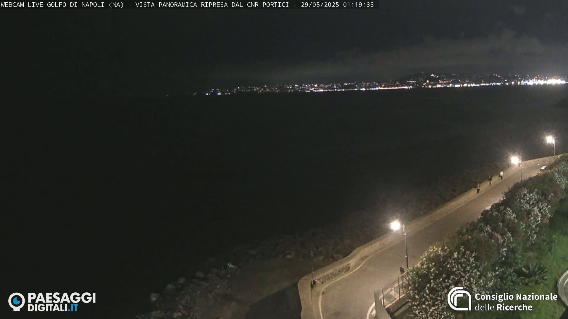 A nighttime, coastal view shows a dark body of water with a city skyline faintly visible in the distance, illuminated by lights, and a road curving along the shore lined with vegetation.