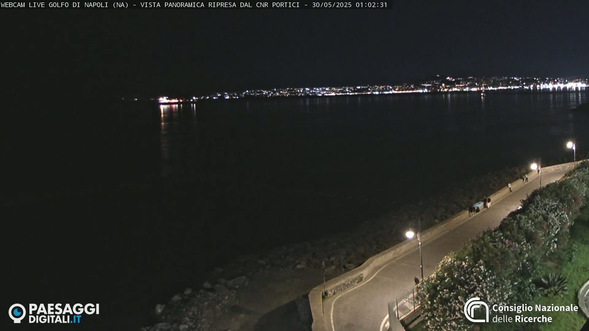 A nighttime, panoramic view of a calm body of water with a city's lights illuminating the far shore, a paved road curving alongside the water's edge with a few people walking along it.